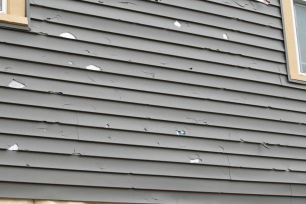 How To Choose The Right Materials for Your Siding Installation in 'Hortonville, WI